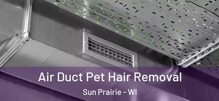  Air Duct Pet Hair Removal Sun Prairie - WI