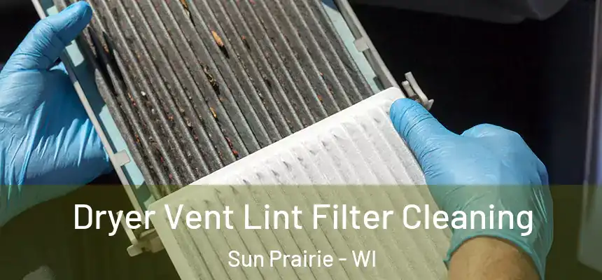  Dryer Vent Lint Filter Cleaning Sun Prairie - WI