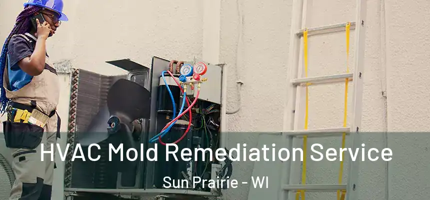  HVAC Mold Remediation Service Sun Prairie - WI