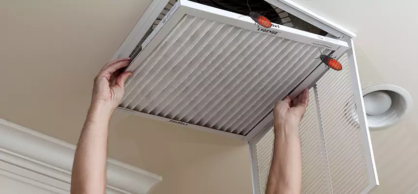 Our Insect Removal from Air Ducts Services in Sun Prairie, WI