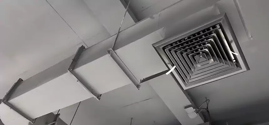 Our Pest Removal From Ducts Services in Sun Prairie, WI