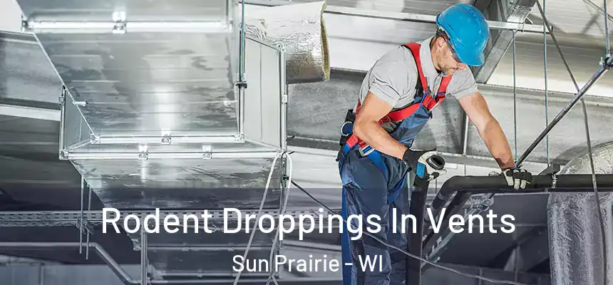  Rodent Droppings In Vents Sun Prairie - WI