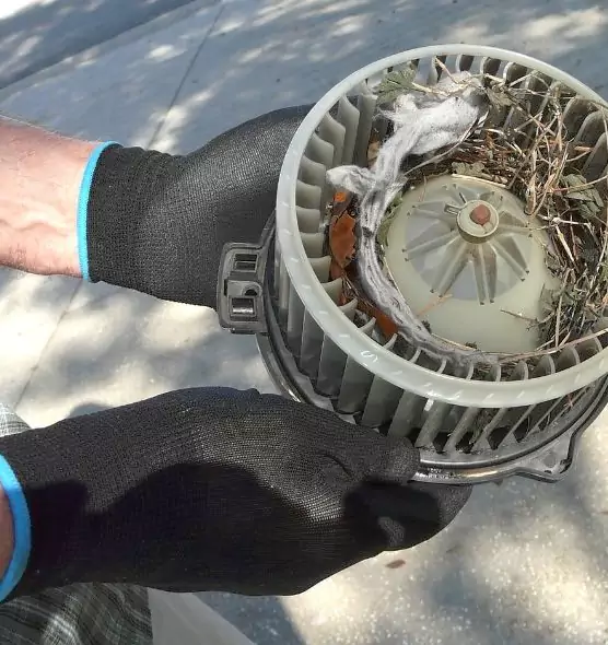 About Air Duct Mice Removal in Sun Prairie, WI