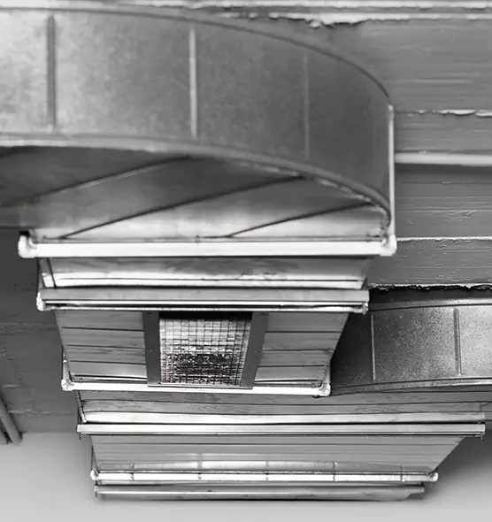 Professional Air Duct Pest Removal in Sun Prairie, WI