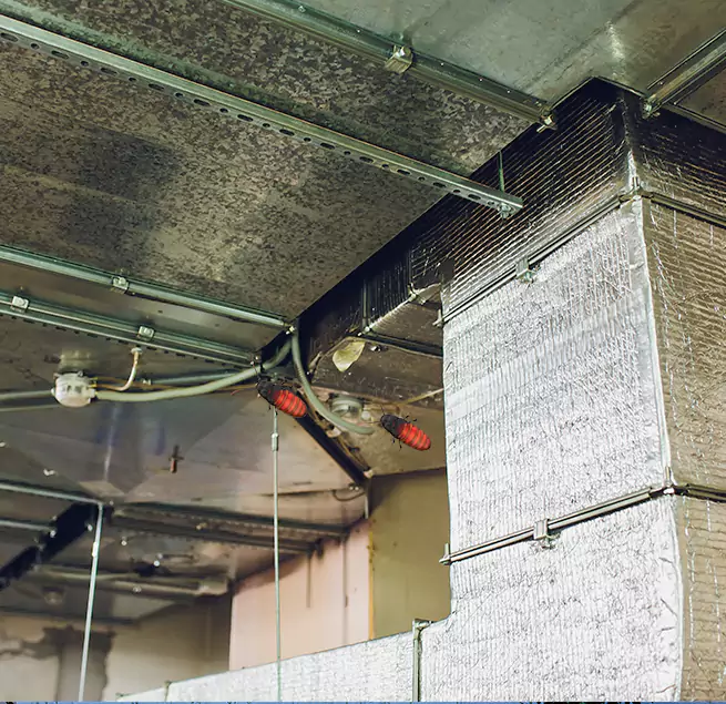 Why Homeowners & Businesses Trust Us in Sun Prairie, WI?