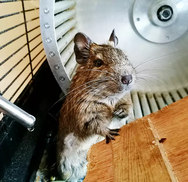 Why Homeowners & Businesses Trust Us Sun Prairie, WI?